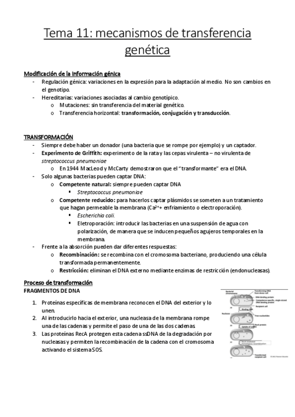 Miniatura del documento Tema 11.pdf