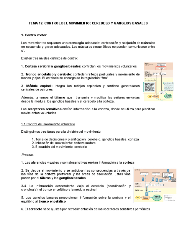 Miniatura del documento tema-12.pdf