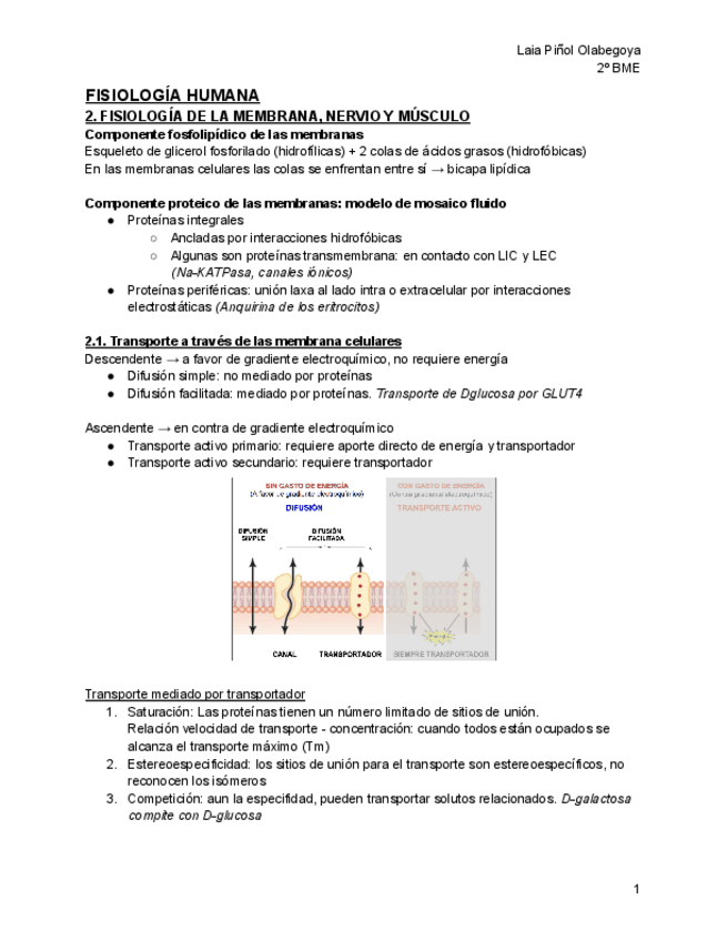 Miniatura del documento T2-Fisiologia-de-la-membrana-nervio-y-musculo.pdf