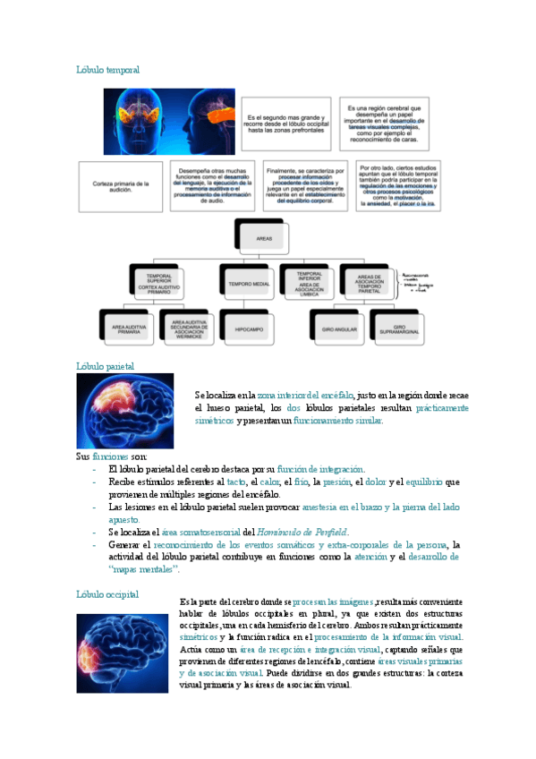 Miniatura del documento Entrenamiento-neuro-clase-08.10.pdf