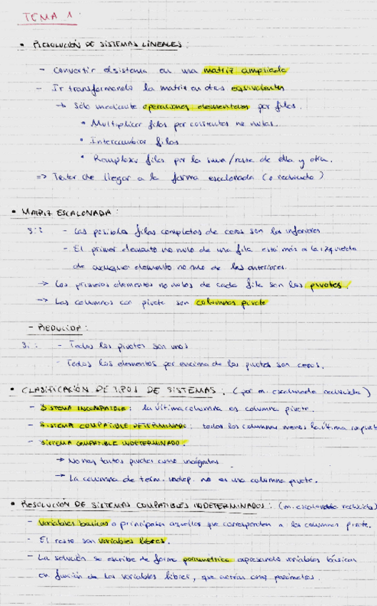 Miniatura del documento Algebra-lineal-Tema1-apuntes.pdf