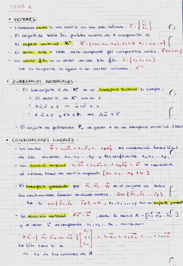 Miniatura del documento Algebra-lineal-Tema2.1-apuntes.pdf