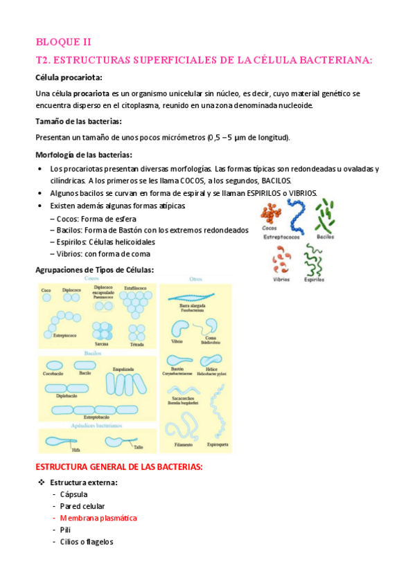 Miniatura del documento APUNTES-MICRO.pdf