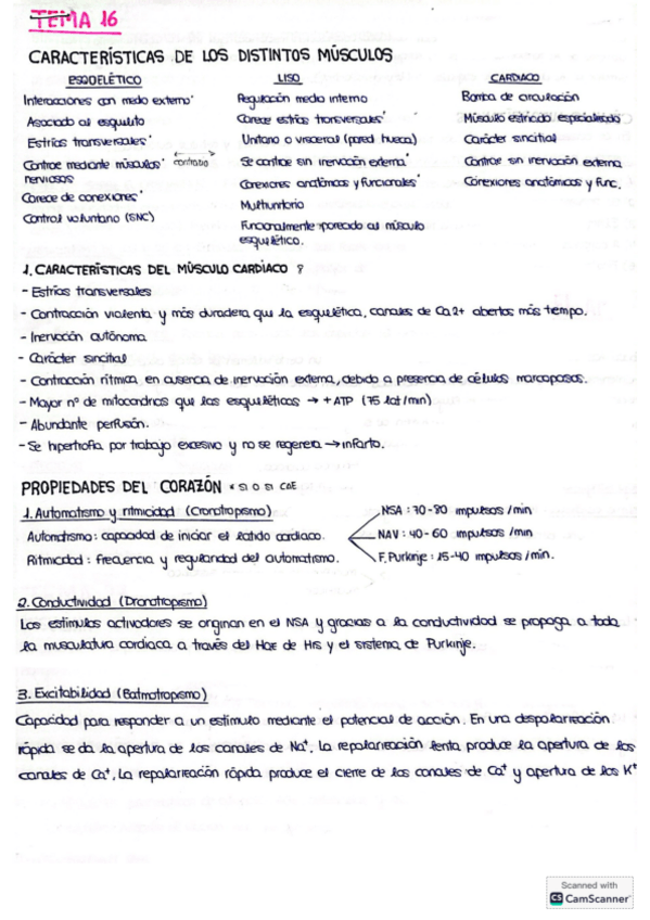 Miniatura del documento PREGUNTAS-EXAMEN.pdf