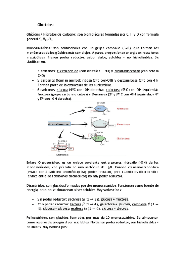 Miniatura del documento Biología II-Definiciones-concretas.pdf