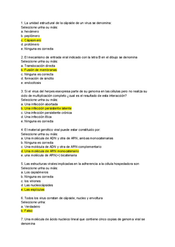Miniatura del documento Autoevaluacion-T6-Micro.pdf