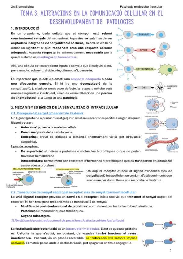 Miniatura del documento T3.-Alteracions-en-la-comunicacio-cellular-en-el-desenvolupament-de-patologies.pdf