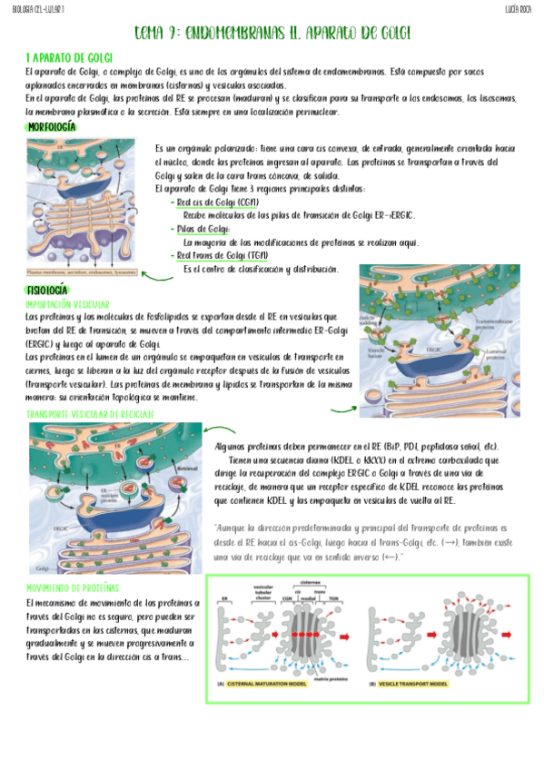 Miniatura del documento tema-9-biologia-celular-I.pdf