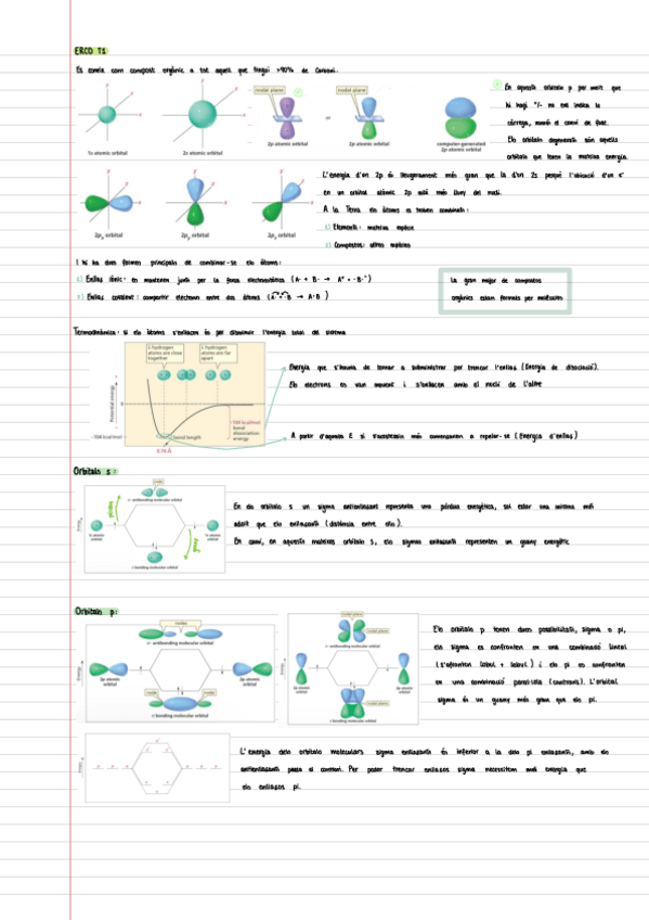 Miniatura del documento ERCO-T1.pdf