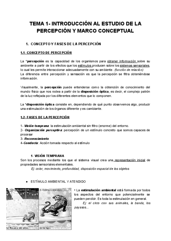 Miniatura del documento TEMA 1 apm .pdf