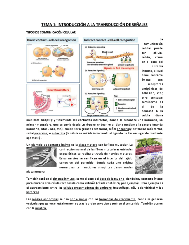 Miniatura del documento TEMA 1.pdf