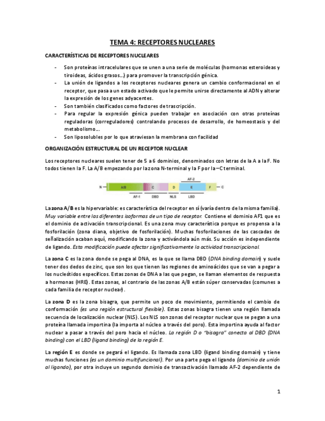 Miniatura del documento TEMA 4.pdf