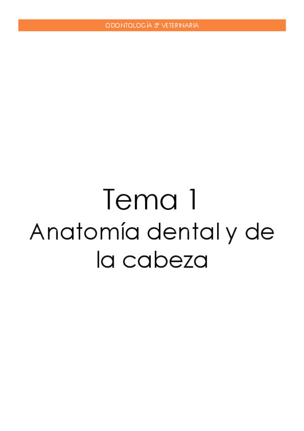 Miniatura del documento Tema-1.-Anatomia-dental-y-de-la-cabeza.pdf