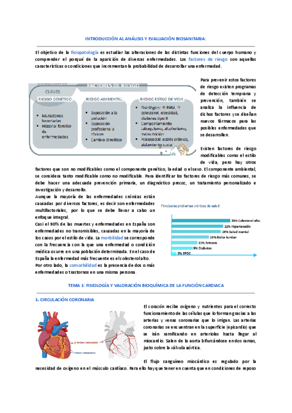 Miniatura del documento Introduccion.-tema-1.pdf