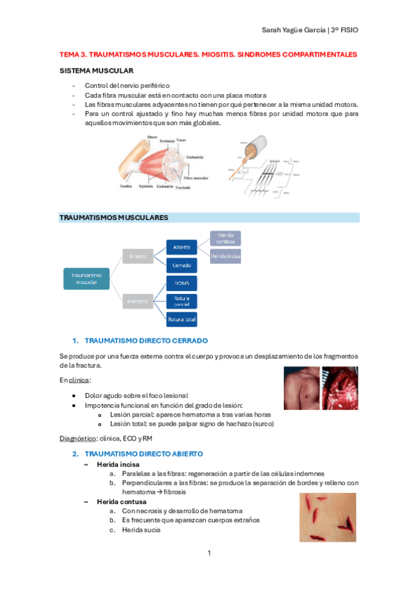 Miniatura del documento T3-Traumatismos-musculares.-Miositis.-Sindromes-compartimentales.pdf