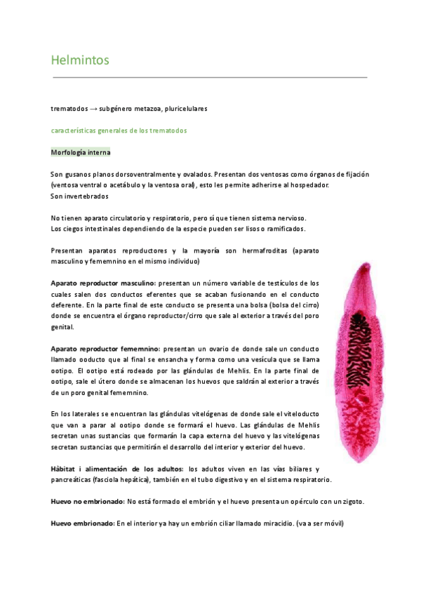 Miniatura del documento helmintos.pdf