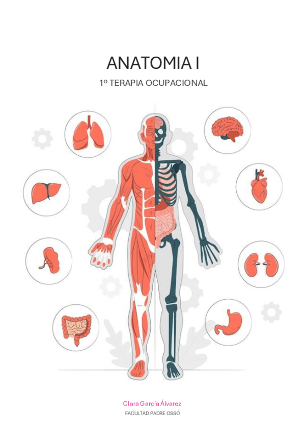 Miniatura del documento ANATOMIA-I-COMPLETO.pdf