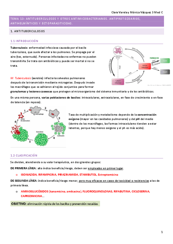Miniatura del documento T13.-FARMA.pdf