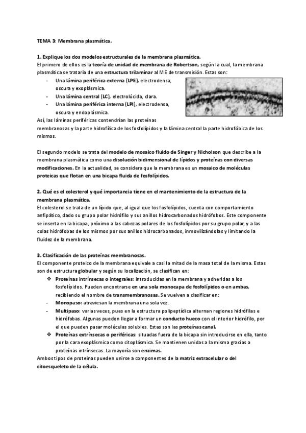 Miniatura del documento PREGUNTAS-REDACTADAS-TEORICO-CITOLOGIA-1o-CUATRI.pdf