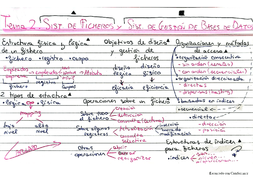 Miniatura del documento FlashcardT.2BD2024.pdf