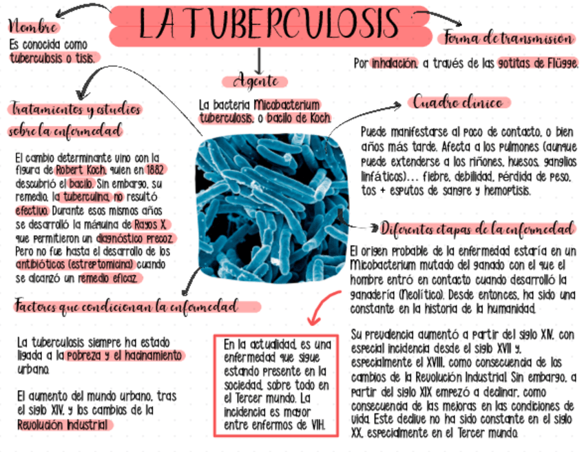 Miniatura del documento Enfermedades-5.pdf