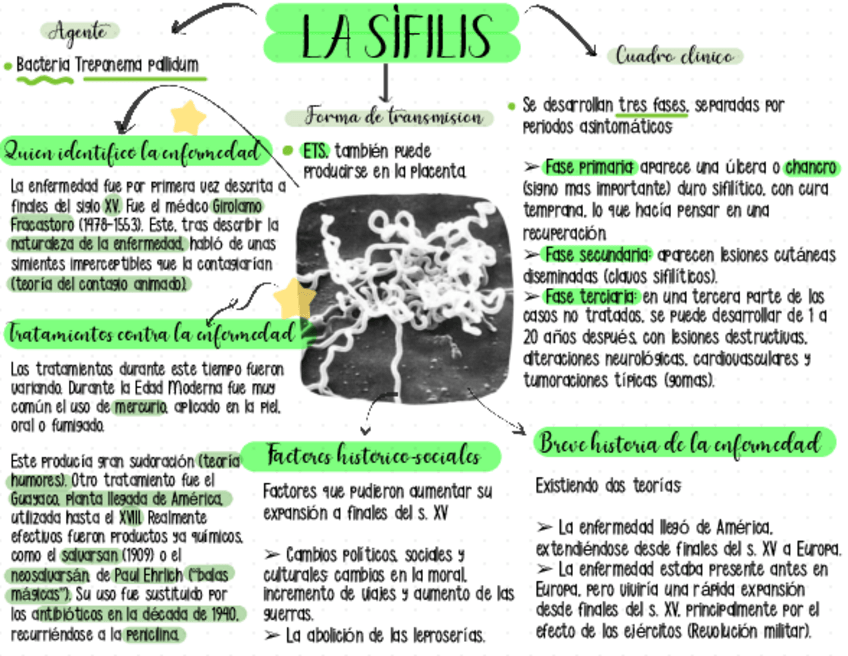 Miniatura del documento Enfermedades-4.pdf
