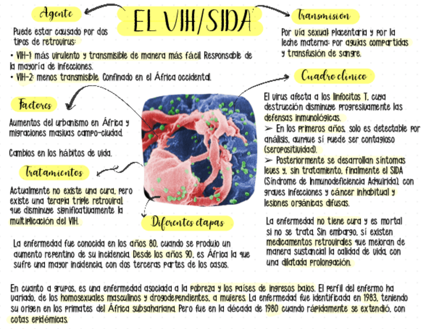 Miniatura del documento Enfermedades-6.pdf