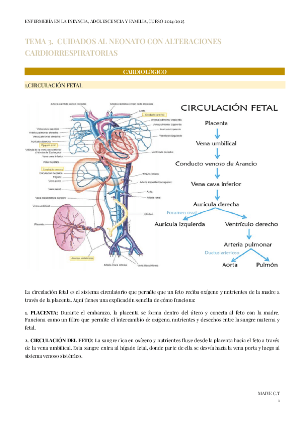 Miniatura del documento BLOQUE-II-TEMA-3.-INFANCIA-ADOLESCENCIA-Y-FAMILIA-CASTELLANO.pdf