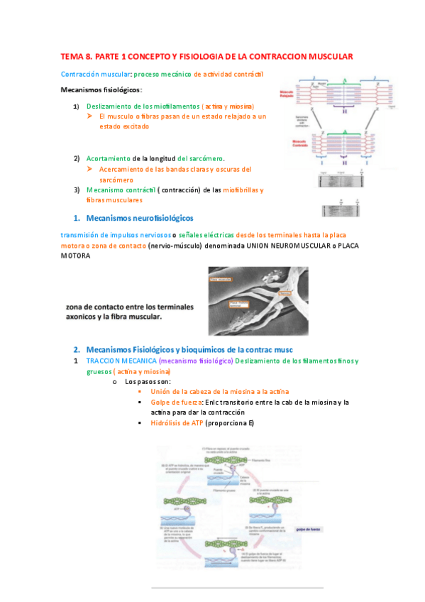 Miniatura del documento TEMA-8.pdf