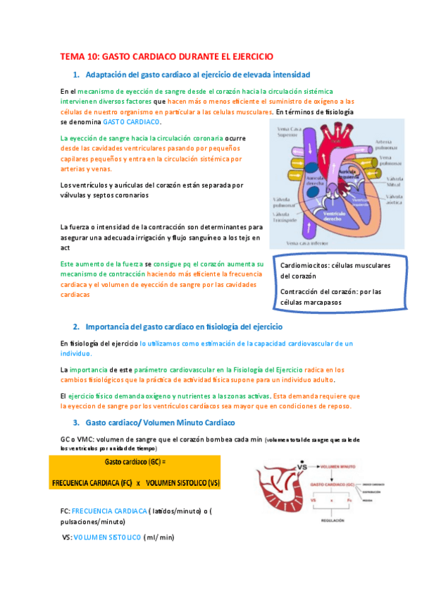 Miniatura del documento TEMA-10.pdf
