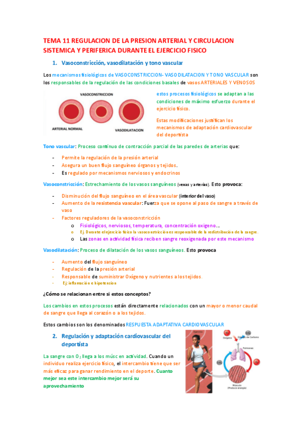 Miniatura del documento TEMA-11.pdf