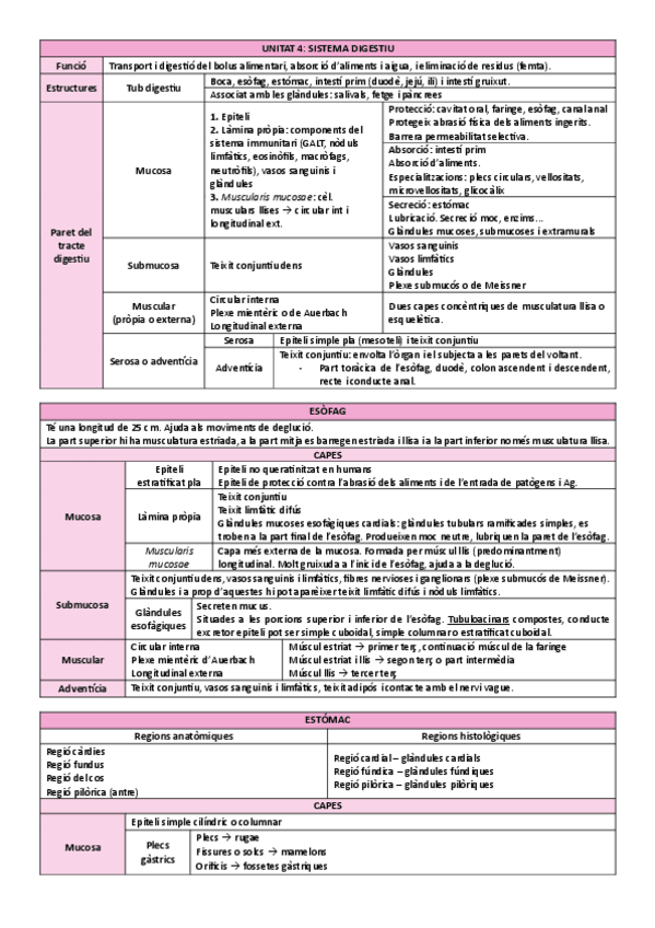 Miniatura del documento organografia-sistema-digestiu-taula-resum.pdf