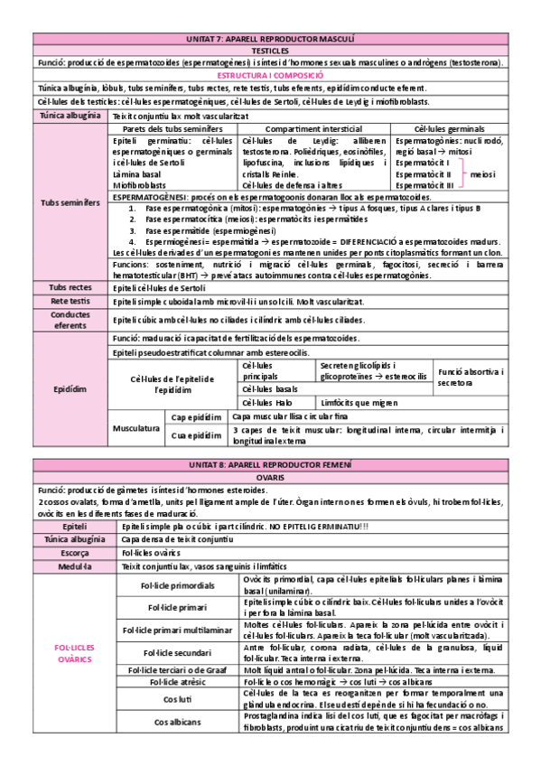 Miniatura del documento organografia-sistema-reproductor-taula-resum.pdf