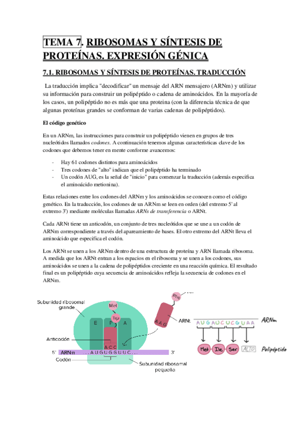 Miniatura del documento TEMA 7.pdf
