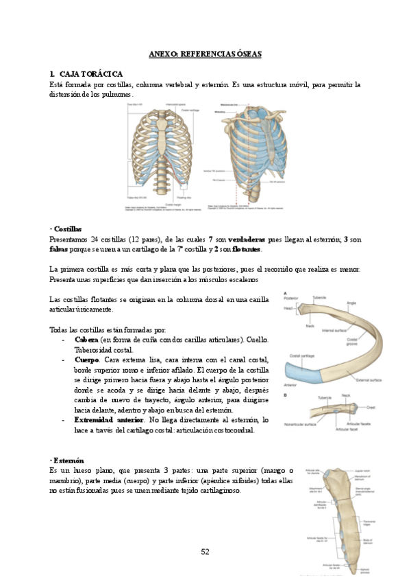 Miniatura del documento ANATOMIA-TEMA-13ANEXO-APARATO-LOCOMOTOR.pdf
