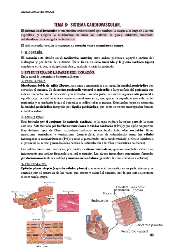 Miniatura del documento FISIOLOGIA-HUMANA-TEMA-6.pdf