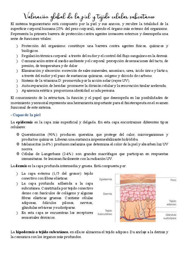 Miniatura del documento Teoria-7.pdf