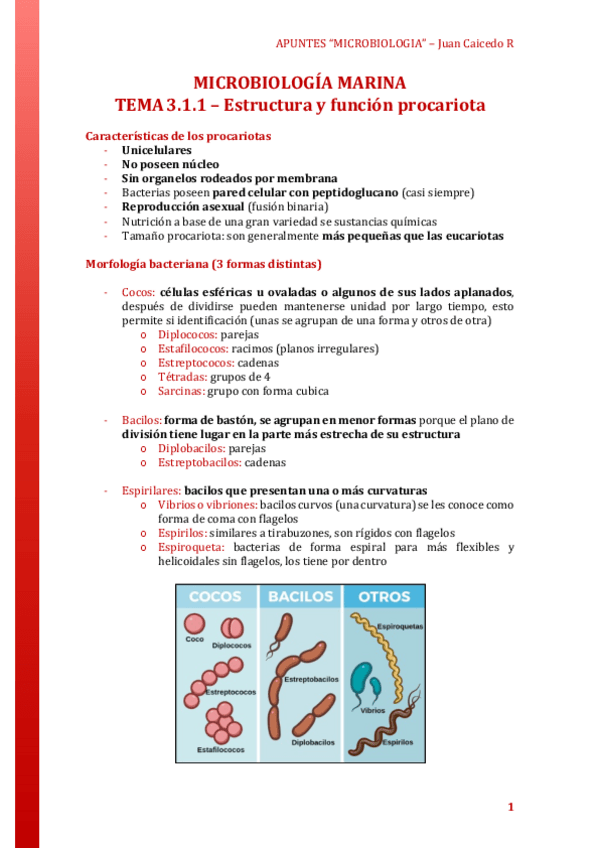 Miniatura del documento MICRO-TEMA-3-Estructura-y-funcion-procariota.pdf