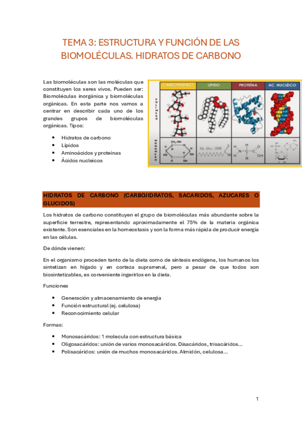 Miniatura del documento TEMA-3.pdf