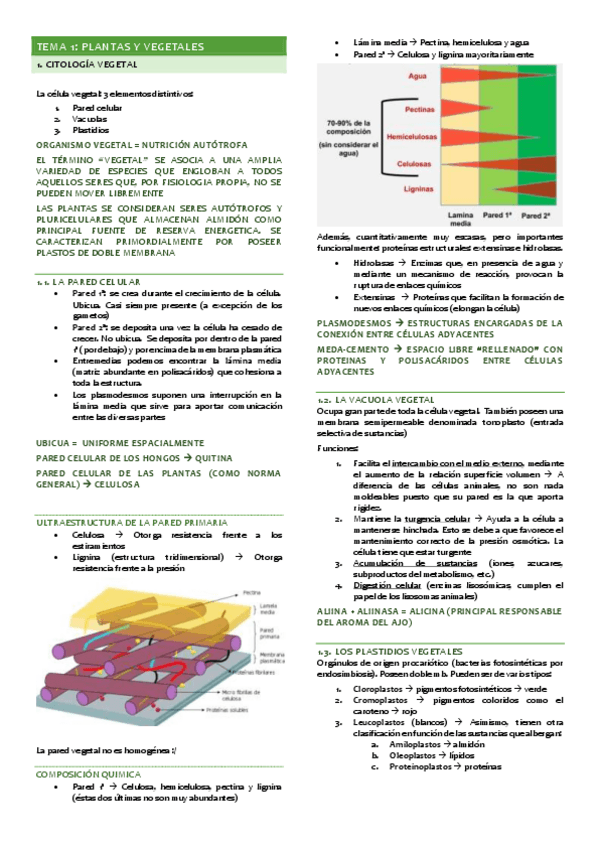 Miniatura del documento TEMA-1.pdf