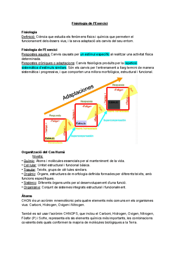 Miniatura del documento Tema-1.-Bases-fisiologia.pdf