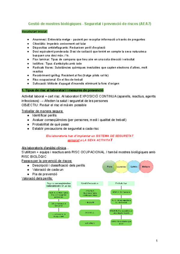 Miniatura del documento Resum-examen-1-AEA-7-Seguretat-i-prevencio-de-riscos.pdf