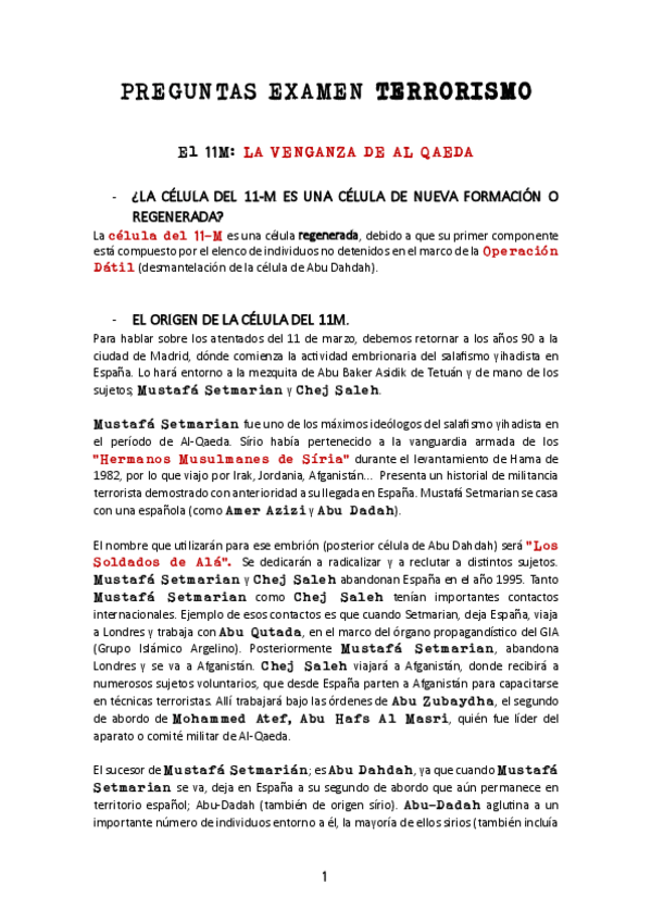 Miniatura del documento Preguntas-11-M.pdf