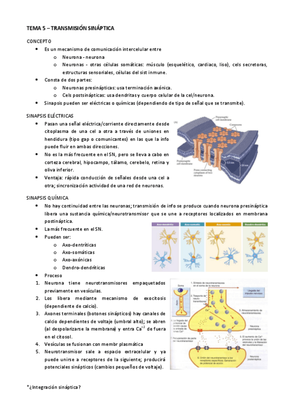 Miniatura del documento TEMA-5.-FH.pdf