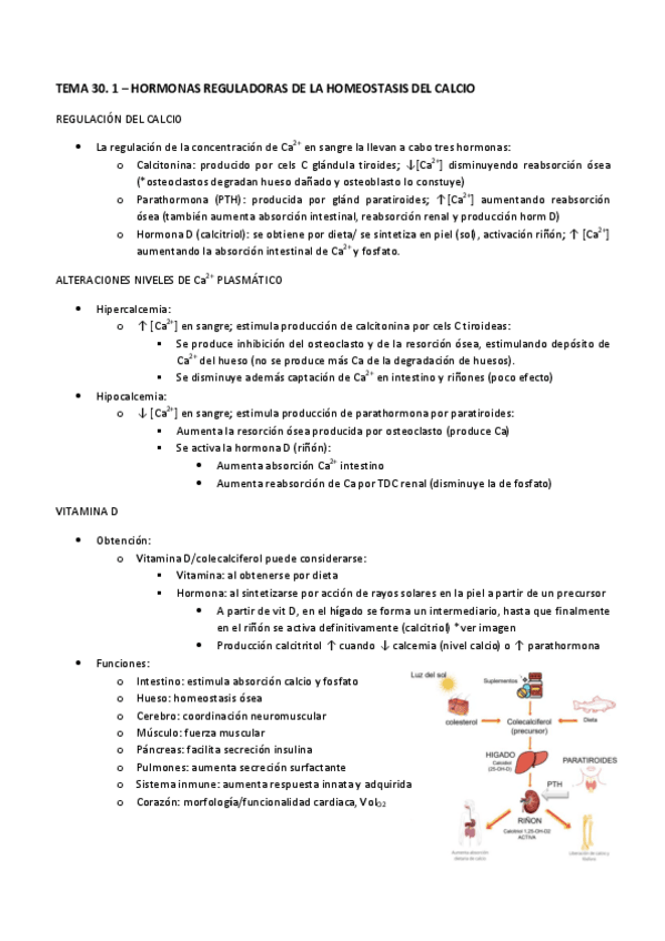 Miniatura del documento TEMA-30.1.-FH.pdf