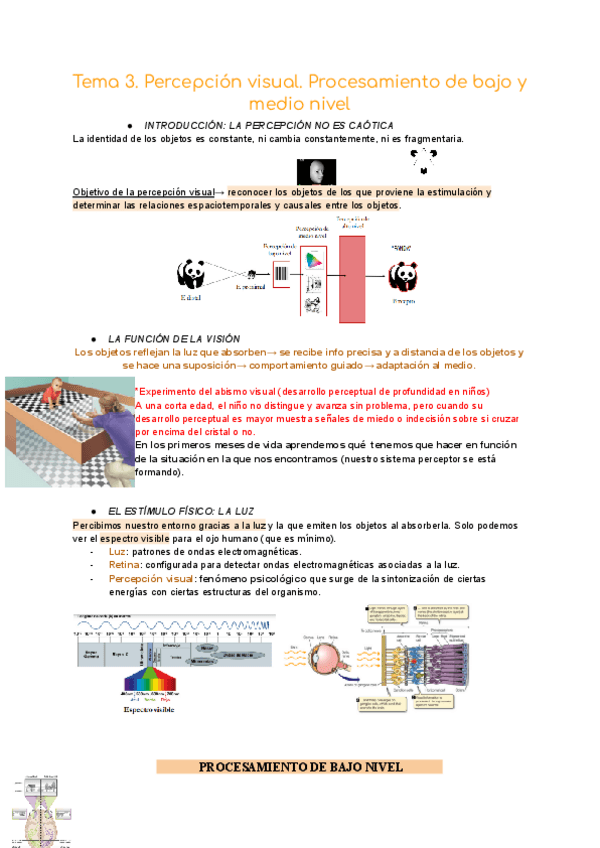 Miniatura del documento Tema-3.-Percepcion-visual-Procesamiento-de-bajo-y-medio-nivel.pdf