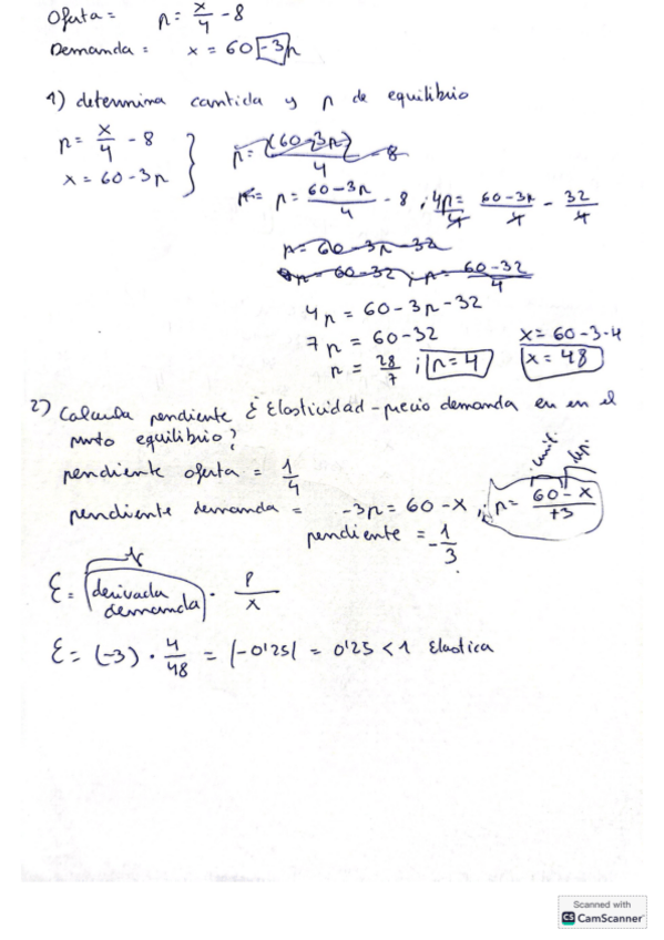 Miniatura del documento ejercicos-ie-practica-demanda-elasticidad.pdf