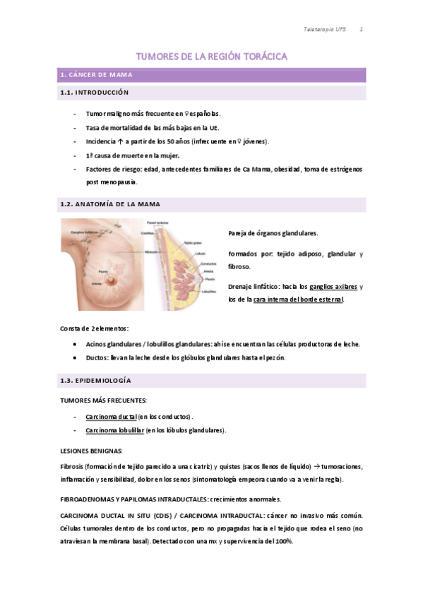 Miniatura del documento Apuntes-Tele-UF5.pdf