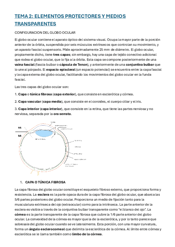 Miniatura del documento TEMA-2-Y-4-OJO-neuro.pdf