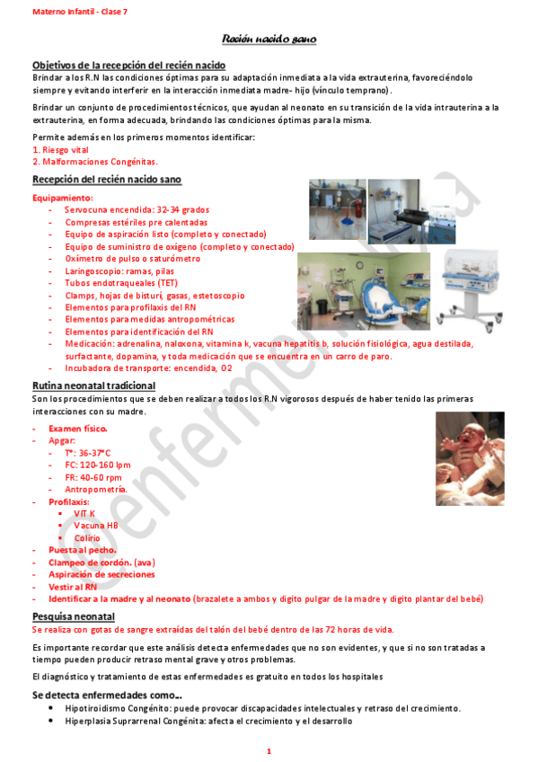 Miniatura del documento clase-7-materno-Recien-nacido-sano.pdf